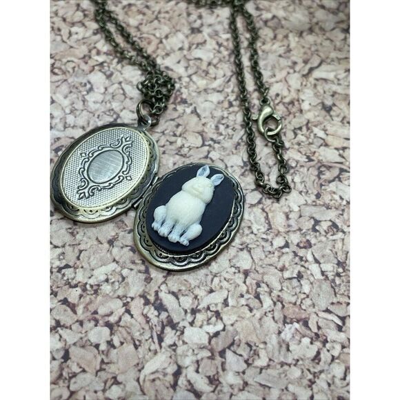 BIRTHDAY GIFT MOM DAUGHTER WIFE GRANDMA BUNNY RABBIT LOCKET PHOTO NECKLACE NEW - Picture 6 of 14